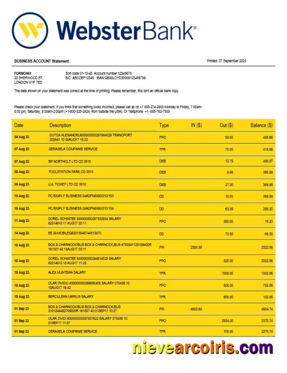 Webster Bank business statement